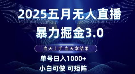 2025五月无人直播暴力掘金3.0，当天上手，当天拿结果，单号日入1k+小白可做可矩阵【揭秘】-云创智库