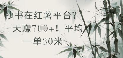 抄书在小红薯平台？平均一单30米，一天收益几张！-云创智库