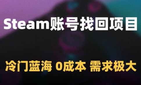 Steam账号找回项目，冷门蓝海，0成本，需求极大-云创智库