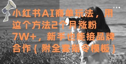 小红书AI商单玩法，用这个方法2个月涨粉7W+，新手也能接品牌合作(附全套指令模板)-云创智库