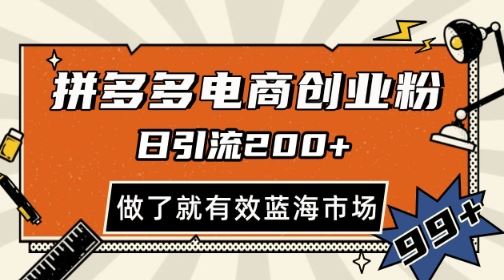 拼多多引流电商创业粉，日引200+，可矩阵放大，做了就有效【揭秘】-云创智库