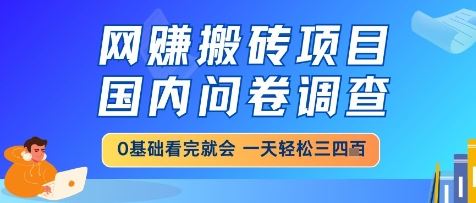 网创搬砖项目，国内问卷调查，小白轻松上手，一天三四张的也不难，干就完了【揭秘】-云创智库