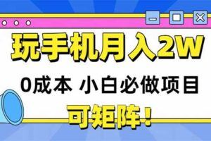 （14880期）拼多多虚拟电商，零基础实战教学，快速打爆商品，新手也能月入10000+-云创智库