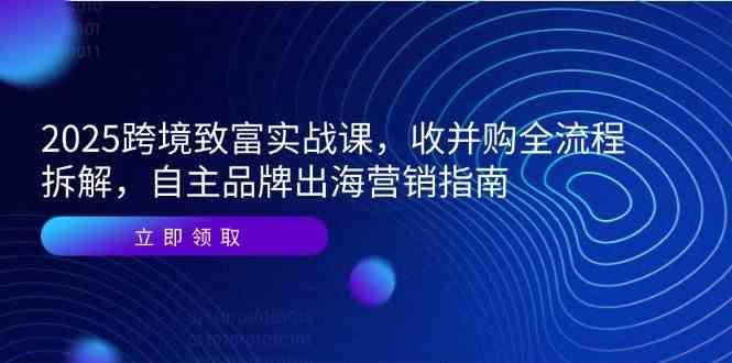 2025跨境致富实战课，收并购全流程拆解，自主品牌出海营销指南-云创智库