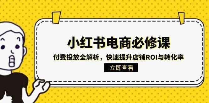 小红书电商必修课：付费投放全解析，快速提升店铺ROI与转化率-云创智库