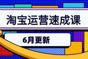 （15085期）拼多多运营全攻略，爆款打造/付费推广/免费流量/日销千单实战教学/6月更新-云创智库