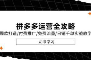 （15087期）淘宝运营速成课-6月，直通车六维玩法，引力魔方实操，三阶搜索爆破技术-云创智库