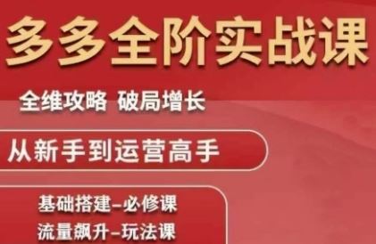 拼多多全阶实战课程，全维攻略，破局增长，从新手到运营高手-云创智库