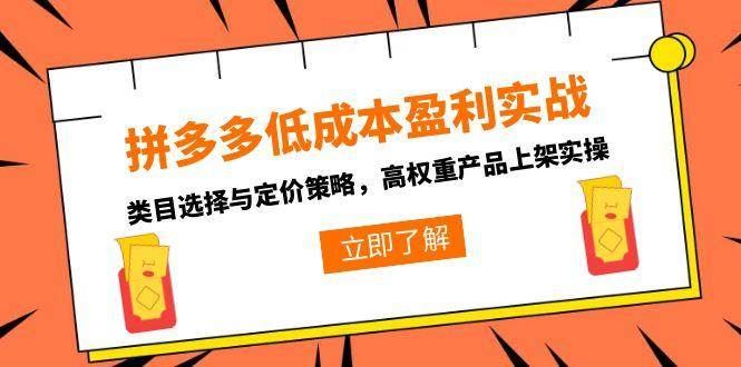（15143期）拼多多低成本盈利实战，类目选择与定价策略，高权重产品上架实操-云创智库
