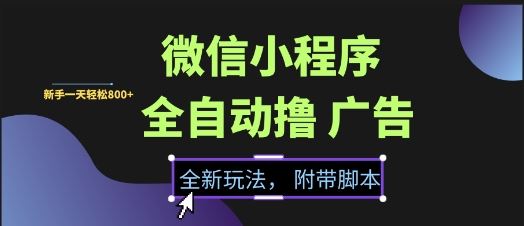 微信小程序全自动撸广告项目，彻底解决没流量的问题，新手一天8张+【揭秘】-云创智库