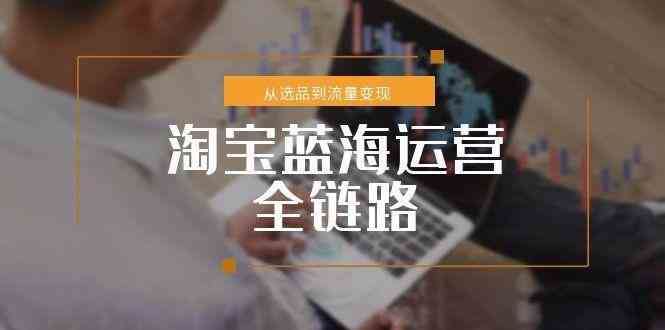 淘宝蓝海运营全链路，从选品到流量变现，小类目突围完整方案-云创智库