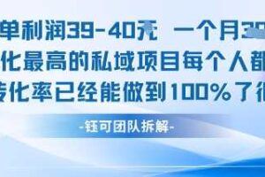 通过AI一键生成百万字小说复制粘贴就能挣钱，轻松日入2张+【揭秘】-云创智库