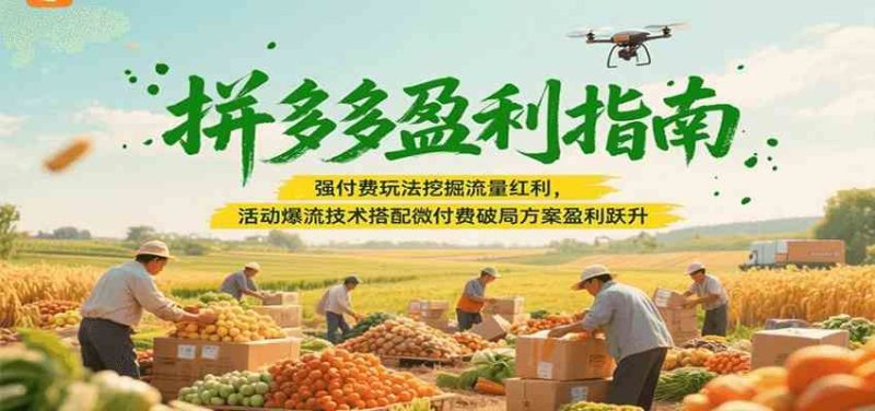 拼多多盈利指南：强付费玩法挖掘流量红利，活动爆流技术搭配微付费方案实现盈利跃升-云创智库