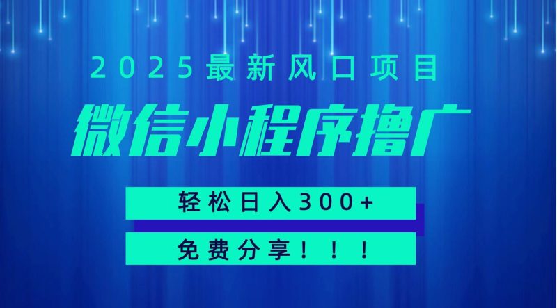 微信小程序撸广，最新风口项目，日入300+ 免费分享 可批量操作 小白可轻松上手！！-云创智库