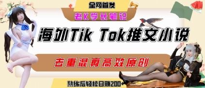 海外tiktok小说推文暴力项目，高停留率，高转化率，上手后一天搞顿饭钱不是问题-云创智库