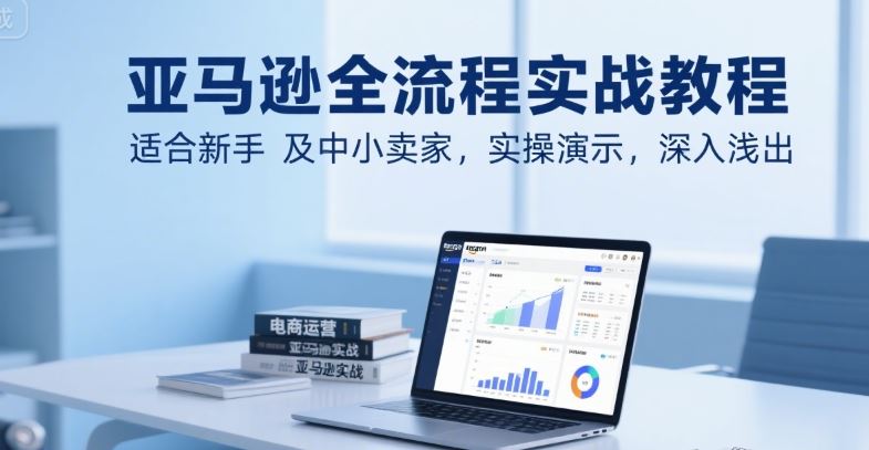 亚马逊全流程实战教程，适合新手及中小卖家，实操演示，深入浅出-云创智库