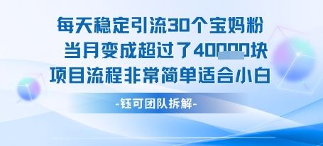每天稳定引流30个人 当月变成超过了4个W项目流程非常简单适合小白-云创智库