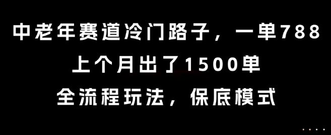 中老年赛道冷门路子，一单788，上个月出了1500单，全流程玩法，保底模式【揭秘】-云创智库