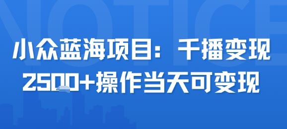 小众蓝海项目，千播变现2.5k+操作当天可变现-云创智库