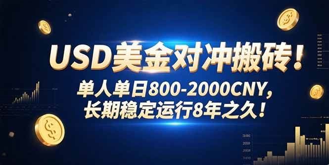 （15551期）USD美金对冲搬砖!单人单日800-2000CNY，长期稳定运行8年之久!-云创智库