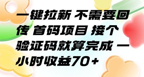 一键拉新 不需要回传 首码项目 接个验证码就算完成 一小时收益70+【揭秘】-云创智库