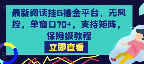 最新阅读挂G撸金平台，无风控，单窗口70+，支持矩阵，保姆级教程【揭秘】-云创智库