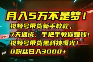 （15596期）2025最新爆火赛道保姆级教程，全程一键批量制作，小白轻松无脑上手无需…-云创智库
