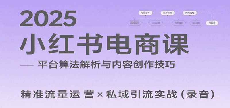 2025小红书电商课：解析算法，创作高转化内容，助力卖家获取流量实现变现（录音）-云创智库