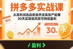 （15619期）非标品五维人群定位法，2000款滚雪球运营策略，AI内容营销10万流量引爆-云创智库