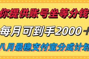 拼多多高阶运营课，含强付费玩法、规则利用技巧及实战方案，适配多链路需求-云创智库