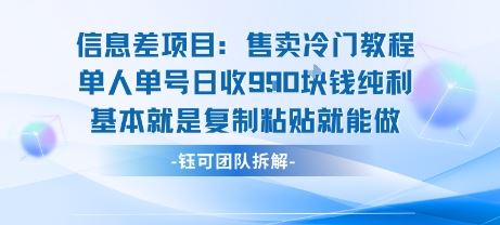 信息差项目：售卖冷门教程单人单号日收9张纯利基本就是复制粘贴就能做-云创智库