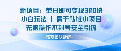 新项目单日即可变现3张的小白玩法无脑操作不封号安全引流-云创智库