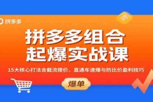 DTC品牌独立站运营课：建站优化、Google Ads + 社媒推广与数据分析全攻略-云创智库