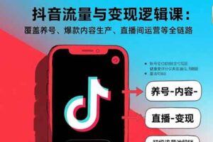 （15828期）抖音随心推投放策略教程：涵盖工具认知、选品逻辑和投放技术三大核心模块-云创智库