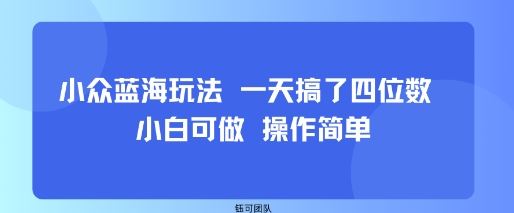 小众蓝海玩法 一天搞了四位数 小白可做 操作简单-云创智库