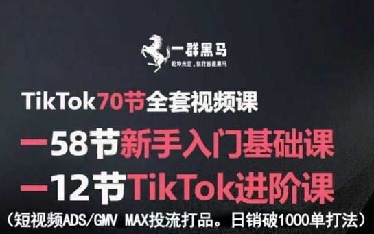 TikTok全套视频课，新手入门+进阶课，短视频ADS-GMV MAX投流打品，日销破1000单打法-云创智库