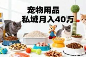 独立站运营实战课，​从0到1，零基础也能快速上手，开启你的品牌出海掘金之旅-云创智库