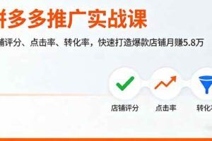（16135期）拼多多运营实战课，活动布局、推广玩法、投产优化，打造月入3w+赚钱店铺-云创智库