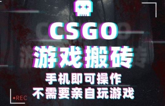 CSGO游戏挂G捡漏，单日扫货5张+，年底小高峰上车可吃肉，手机即可操作，兼职副业创业网创【揭秘】-云创智库