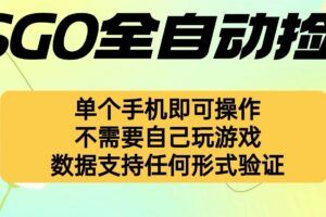 （16208期）海外广告联盟每天几分钟日入1000+无脑操作，可矩阵并附有管道收益-云创智库