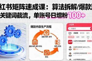 （16230期）AI+小红书店铺矩阵玩法：AI文案/自动化剪辑/Live图制作全流程，日销5000+-云创智库