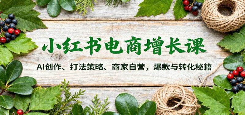 小红书电商增长课：AI创作、打法策略、商家自营，爆款与转化秘籍-云创智库