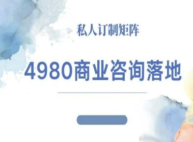 4980商业咨询师落地课程-ip运营高客单教程-云创智库