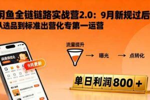 （16263期）闲鱼全链路实战营2.0：9月新规过后从选品到标准化运营，7天快速出单-云创智库