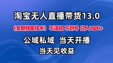 淘宝无人直播13.0，公域私域技术，不封号，不违规布局下半年旺季赛道，日入1K+（独家技术）【揭秘】-云创智库
