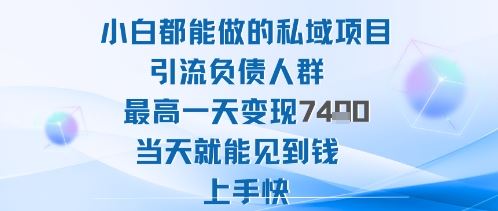 2025年小白都能做的私域项目引流负债人群最高一天变现1k+高变现难度低当天就能见到钱上手快-云创智库