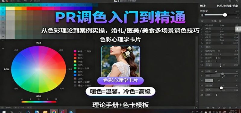PR调色入门到精通：从色彩理论到案例实操，婚礼/医美/美食多场景调色技巧-云创智库