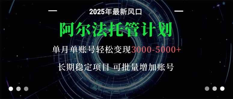（16360期）阿尔法托管计划 单账号月入3000-5000，长期稳定项目，新手小白轻松上手。-云创智库