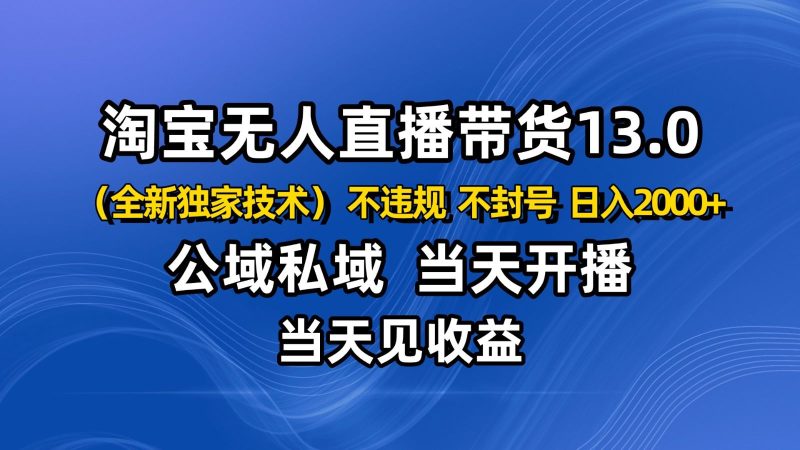 淘宝无人直播13.0，公域私域技术，不封号，不违规 布局下半年旺季赛道，日入2000+-云创智库