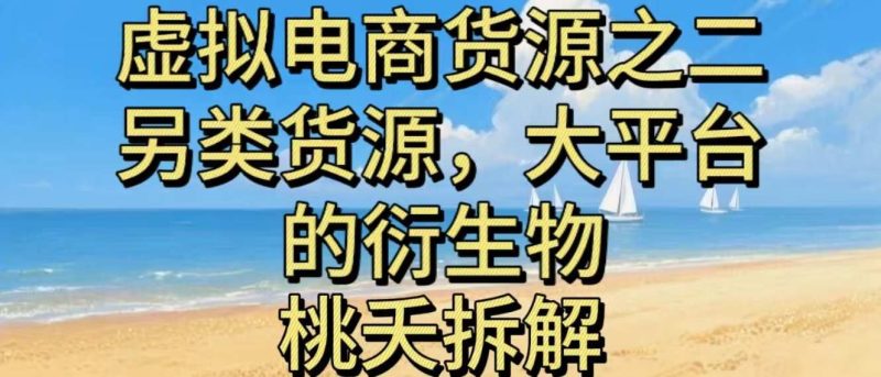 虚拟电商之二—另类的货源，大平台的衍生物-云创智库
